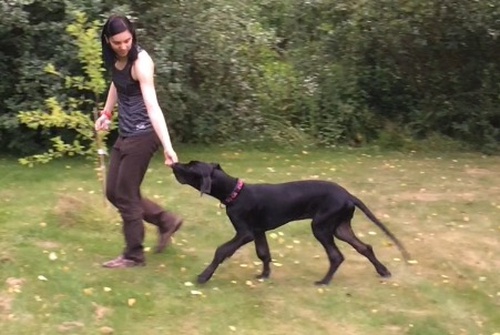 HODin viikkokuulumiset (HOD, osa 7)