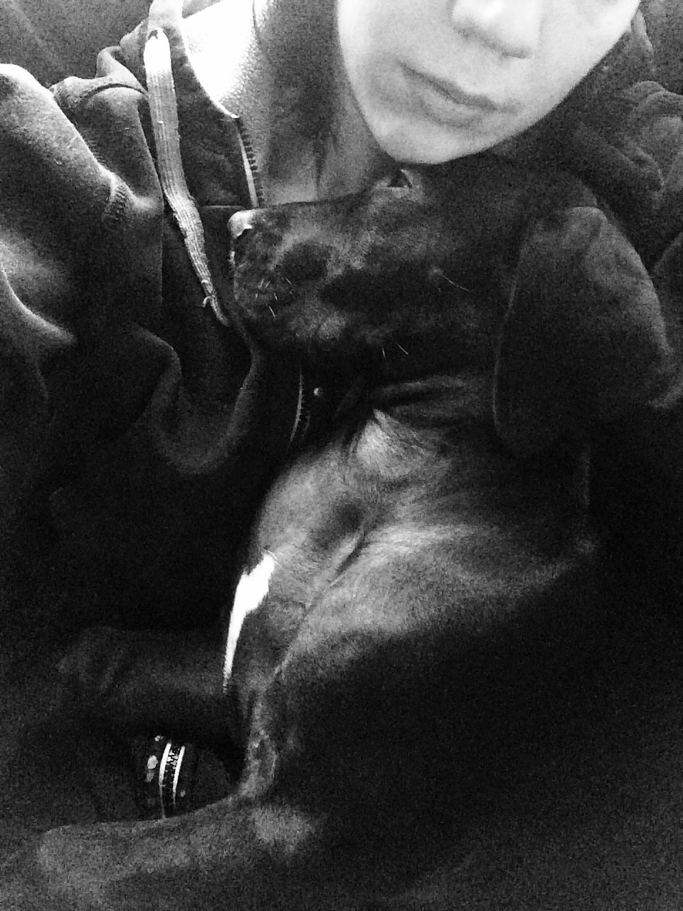 Ensimmäiset päivät töissä