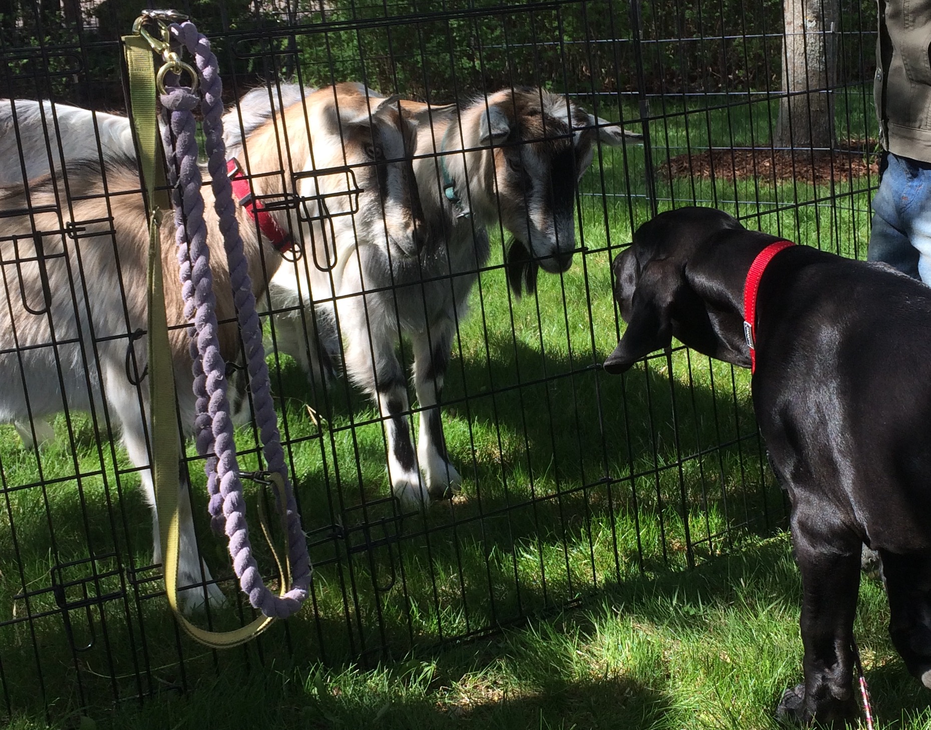 Kaupunkiseikkailulla