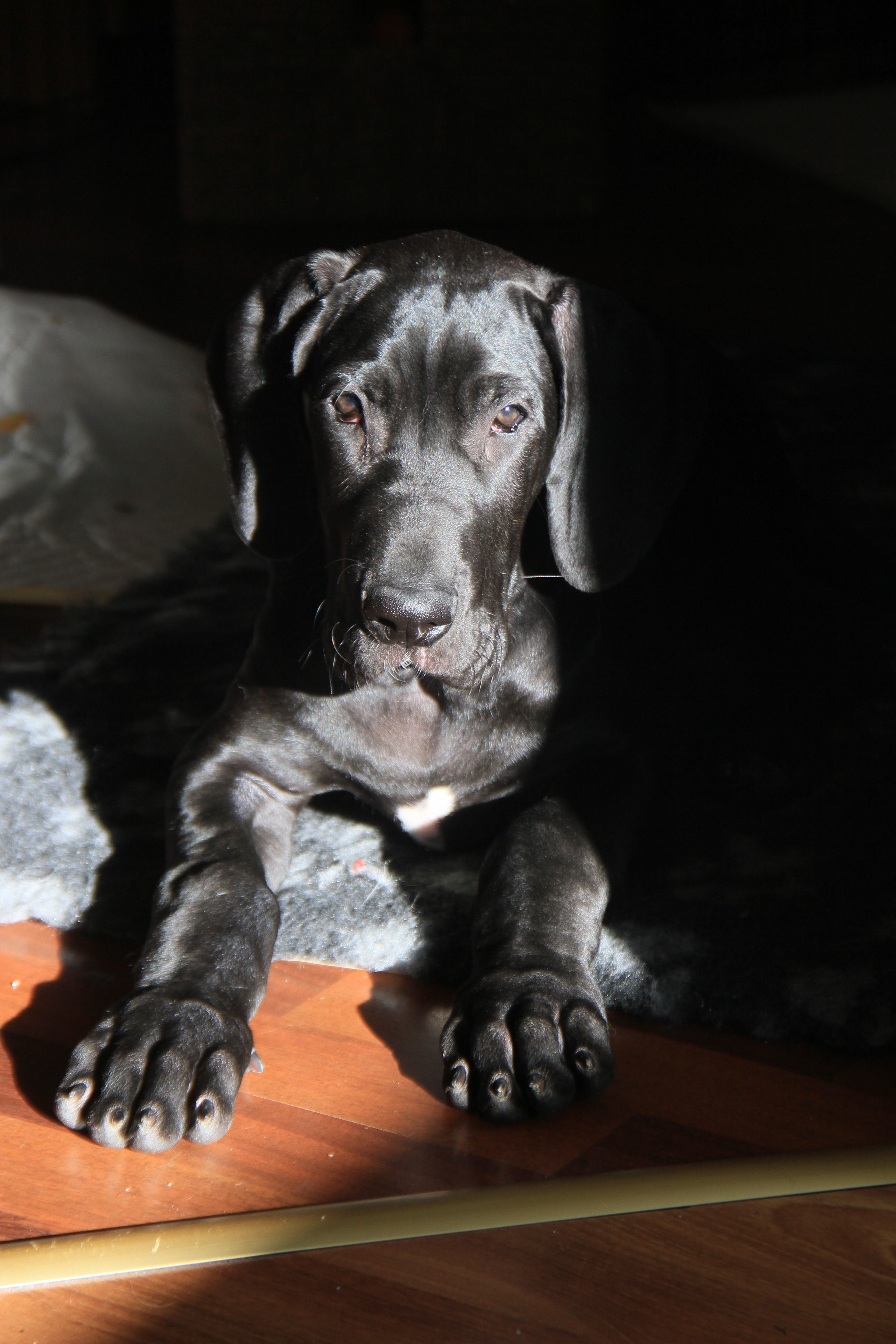 Lähimetsään tutustumassa