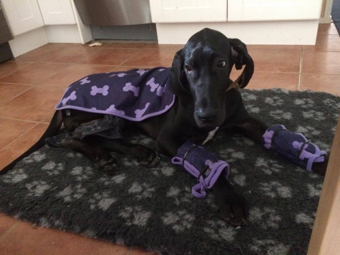 Vinkkejä ja helpotusta HODin hoitoon