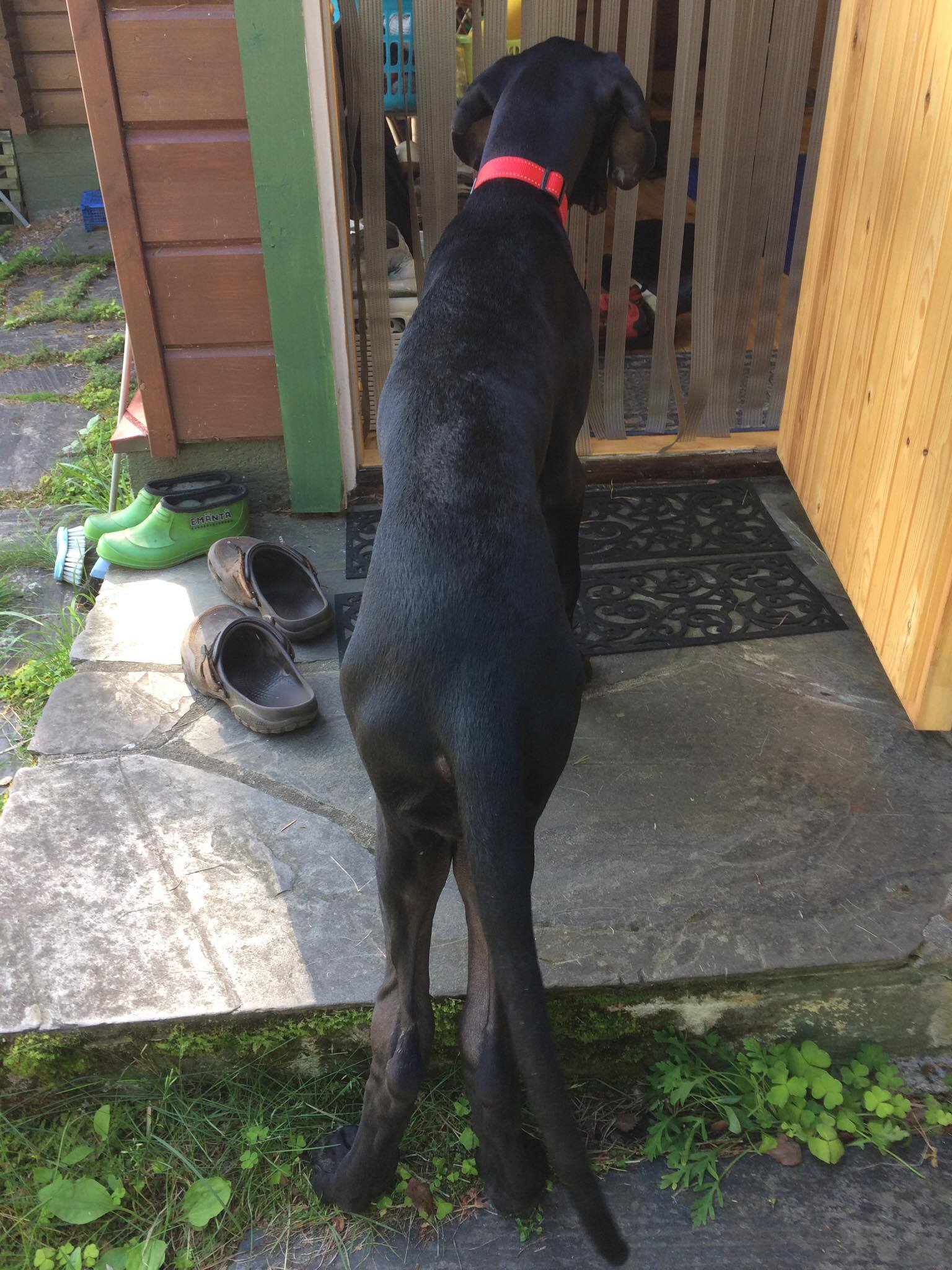 Kuumeeton viikko (HOD, osa 4)