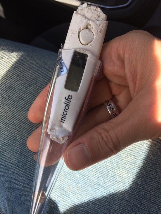 Arvaatko, mitä Nemi söi?