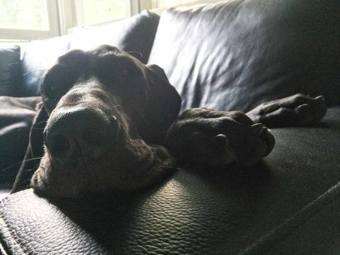 Nemin ihana äänimaailma