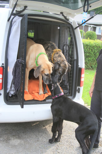 Lapin-reissu 2017: ensimmäinen viikko, Kilpisjärvi