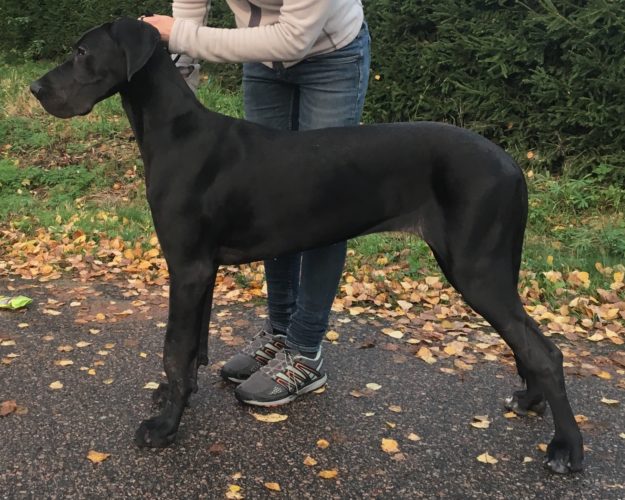 Nemi-neiti täytti 8 kuukautta!