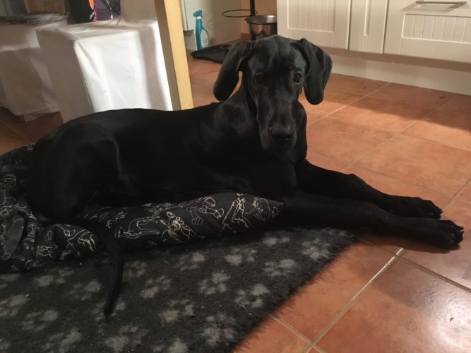 Seuraavat edistysaskeleet (HOD, osa 9)