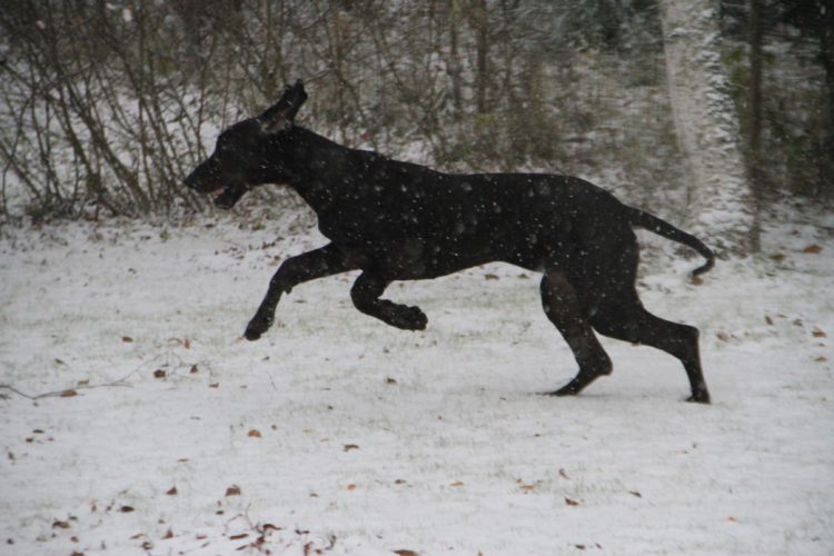 Ensilumi ja pari uutta työkaveria esittelyssä!