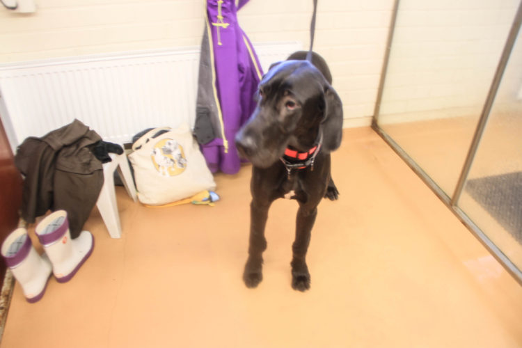 Ensi kertaa uimalassa!