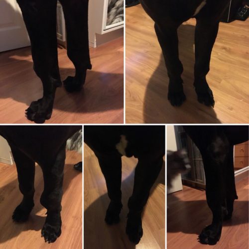 Niin, sairastamme HODia… (HOD, osa 10)