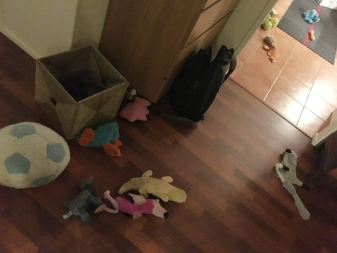 Hämmästyttäviä ja Kummastuttavia asioita