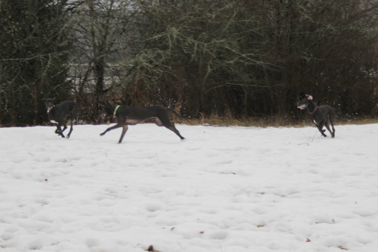 Kasvattajapäivässä