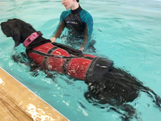 Muisteluita parin viikon takaa