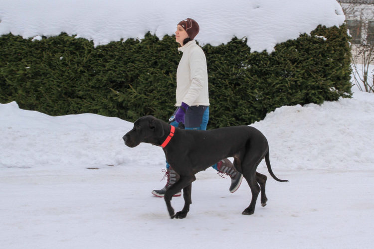 Ohittamisten ongelmatiikkaa