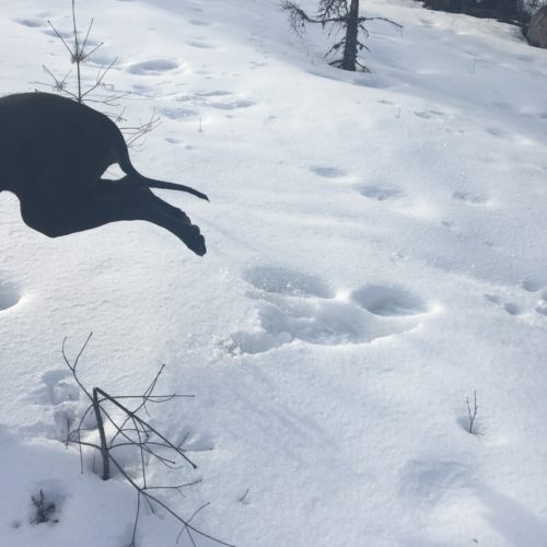 Pääsiäinen Nemin tyyliin