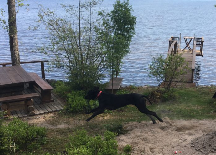 Mökkikauden aloitus