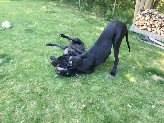 Kevään viimeiset uinnit