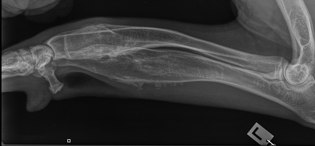 HOD-vuodatus (HOD, osa 12)