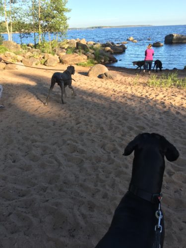 Kaupunkikävelyllä Kotkassa