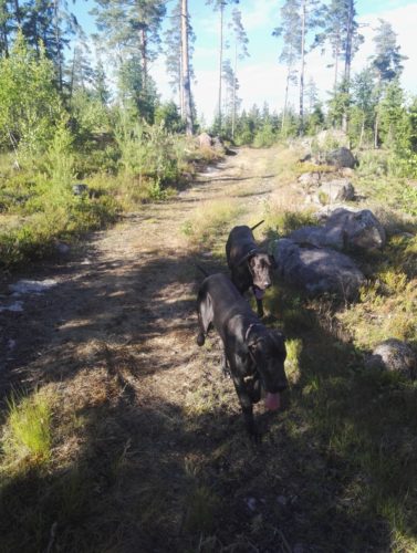 Hoidossa Dannyn luona