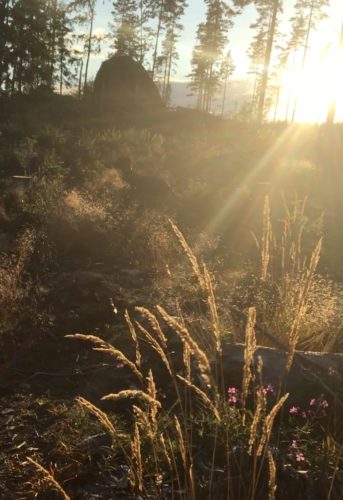 Kesäiltojen lenkeiltä