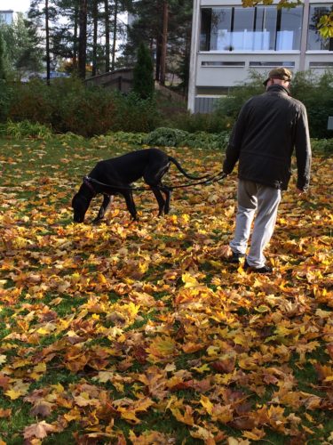 Yökylässä Mummilassa!