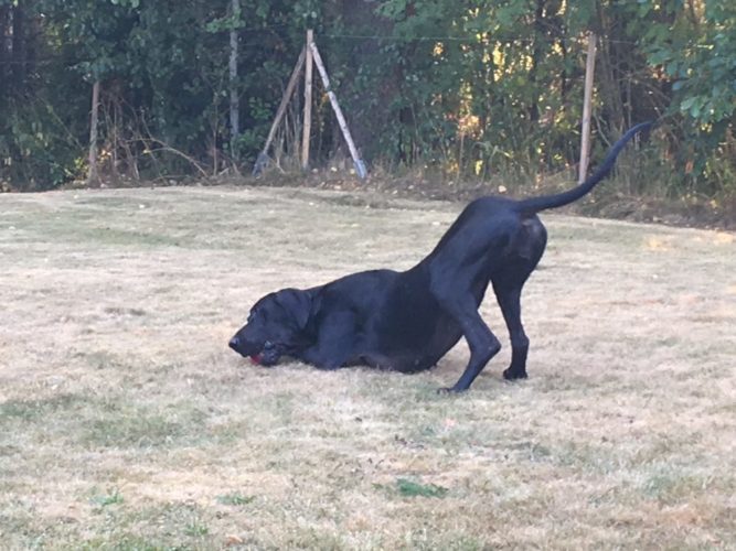 Millaisia kuvia saa aikaan...