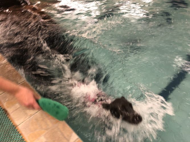 Sisäuintikausi alkoi!