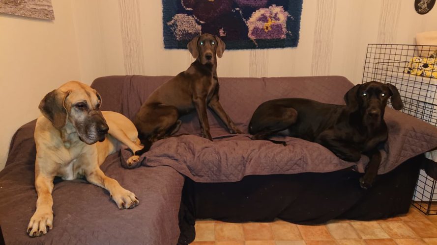 Yökylässä Niinalassa