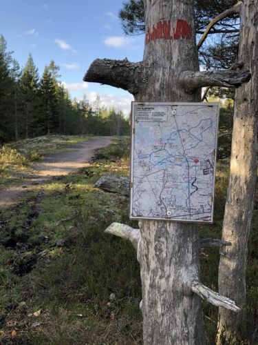 Uusilla lenkkipoluilla + hiertymä...