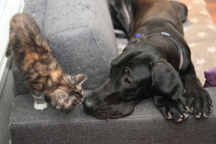 Nemi ON ihan paras hoitotäti