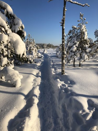 Talvireippailupäivä Valkmusassa