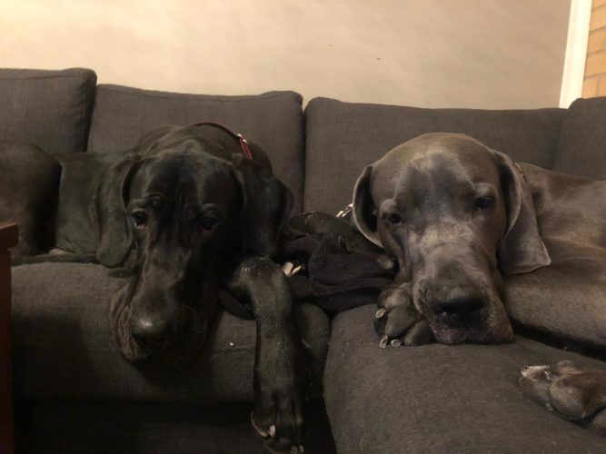 Nemin viikonloppureissu + Lahden ryhmänäyttely