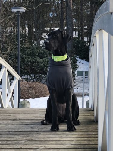 Erilaisia vaihtoehtoja ulkoiluun