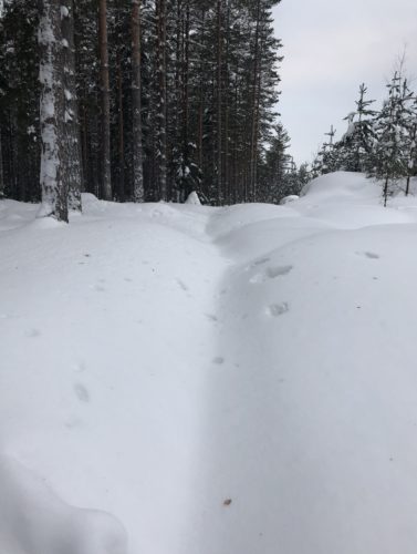 "No mut onhan tääl nyt nättiä"