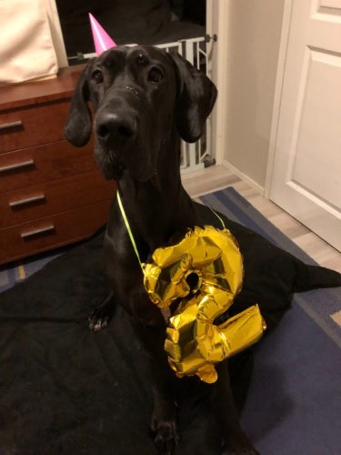 2-vee kaverisynttärit!