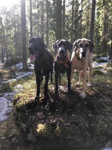 Viikonloppu Pennin ja Heklan kanssa