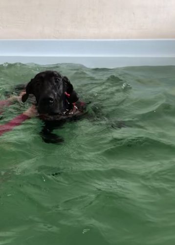 Parit uintikerrat Kouvolassa