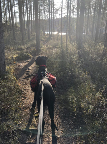 Retkeily- ja telttailukausi avattu!