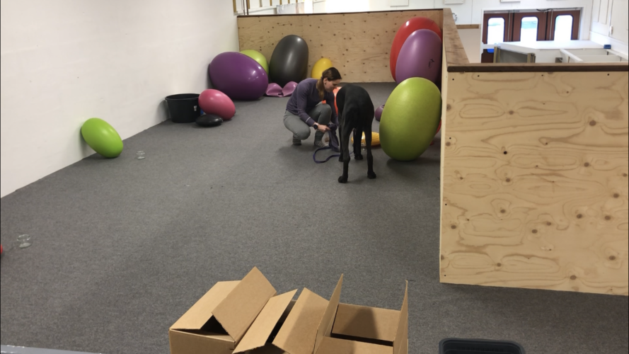 Nosework -alkeet, 3. päivä