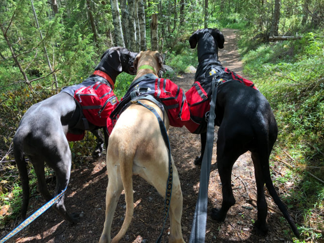 Seitsemisen kansallispuistossa