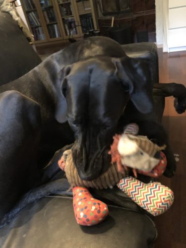 Lelut ovat kutistuneet!