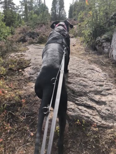 Kukuljärven kierroksella