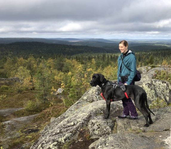 Pyhitystunturin huiputus