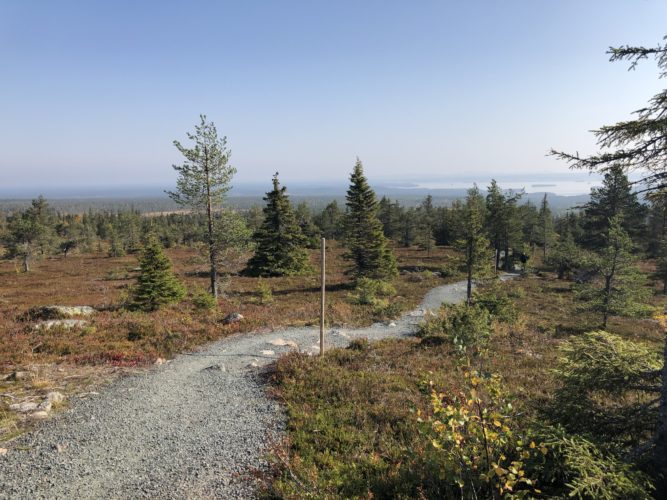 Riisin rääpäsy Riisitunturilla