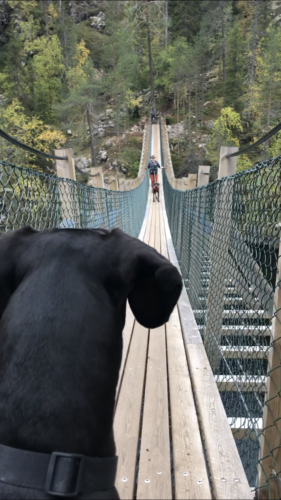 Hossa, Ölökyn ylitys