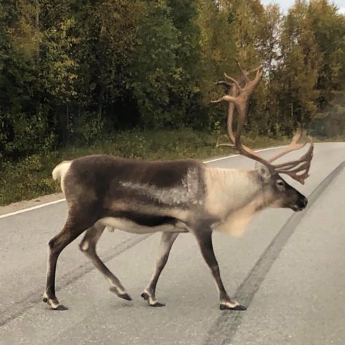 Syksyinen reissu Kuusamon alueelle 2019