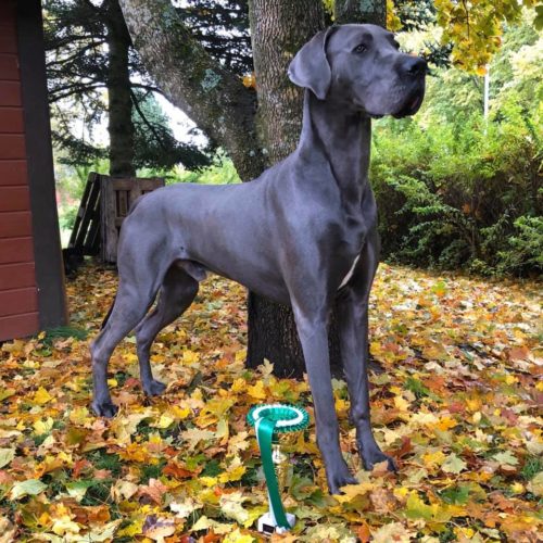 Ryhmänäyttely Tuuloksessa 6.10.