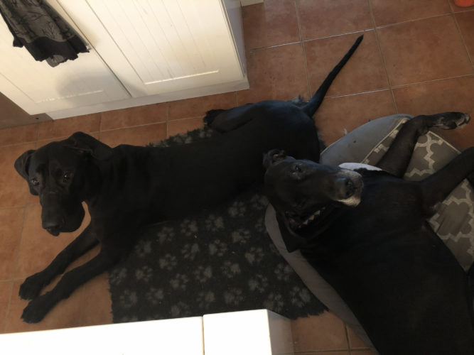 Mites Lucalla menee?