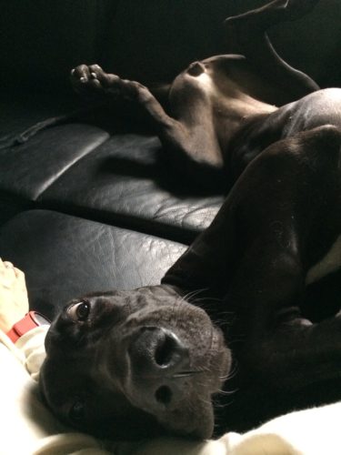 Apua mitä asentoja!